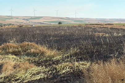 Tekirdağ'da 60 dönüm buğday ve kanola ekili alan yangında zarar gördü
